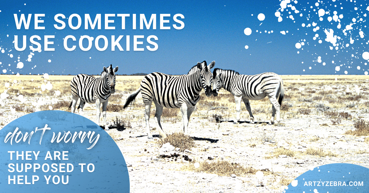 Website Designer Cookie Policy